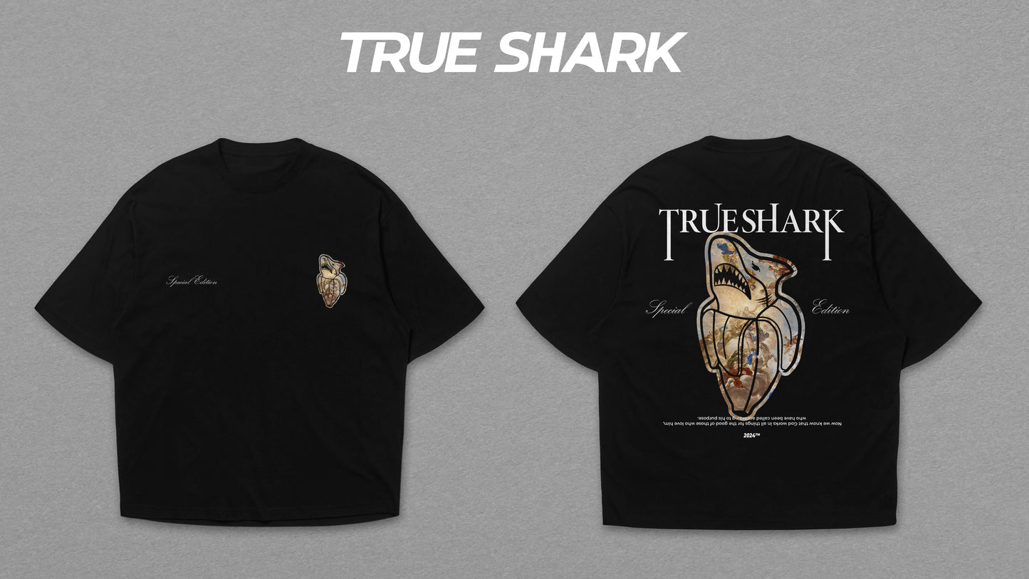 Camiseta Oversized | ππππ πΆπ π―πππππ